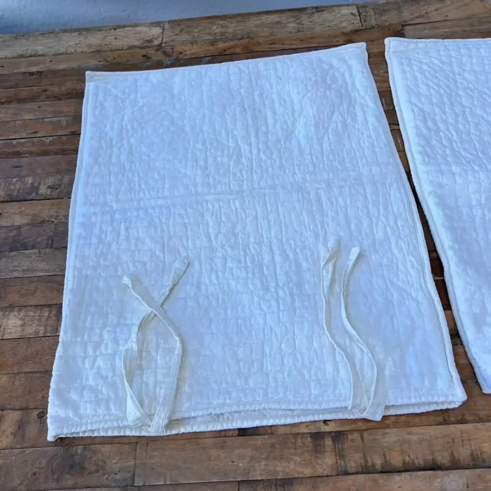 Pottery Barn Pillow Shams Set of 2 Standard 20 x 20